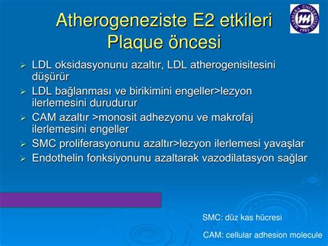 Kardiyovasküler Hastalıklarda Fizyoterapinin Etkileri