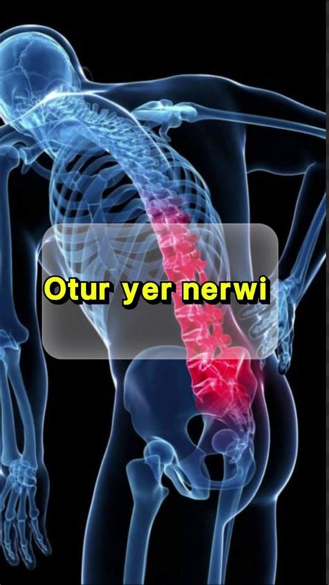 Sırt Ağrısı İçin En Etkili Fizyoterapi Teknikleri